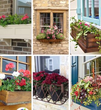 ideas de jardineras de ventana para iluminar su hogar