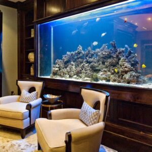 Hermosas ideas de diseño de acuarios para el hogar