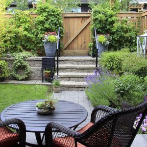 Cómo decorar un patio o jardín con plantas